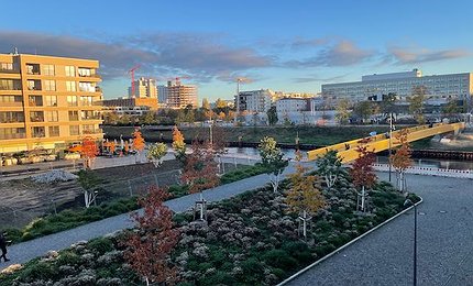 2023-November-Otto-Weidt-Platz-Herbst